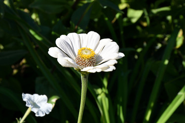 Similar image 21315580