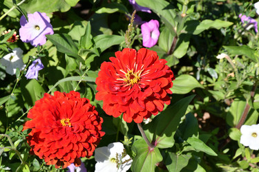 Similar image 21315581