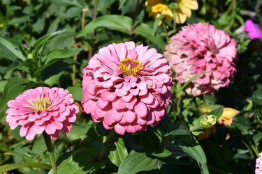 Similar image 21315582