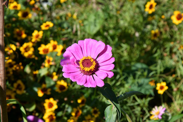 Similar image 21315583