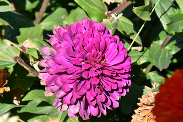 Similar image 21315584