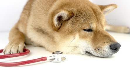 Similar image 21337742