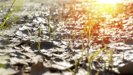 Similar image 21337743