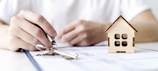 Similar image 21337746