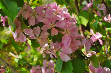 Similar image 21314361