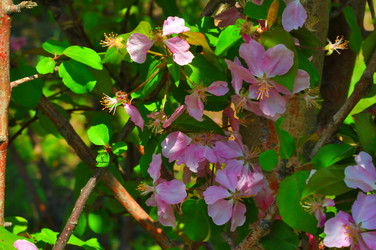 Similar image 21314362