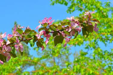 Similar image 21314416