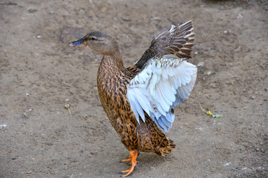 Similar image 21314419