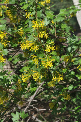 Similar image 21314456