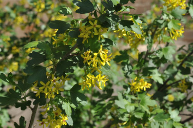 Similar image 21314457