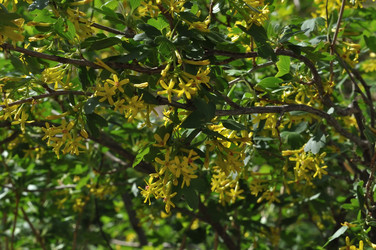 Similar image 21314459