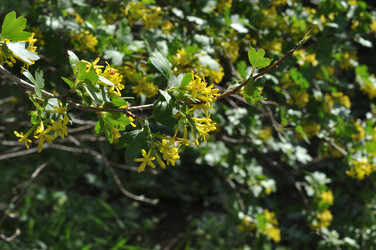 Similar image 21314460