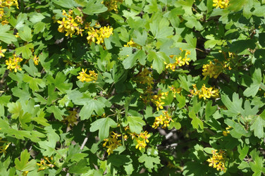 Similar image 21314461