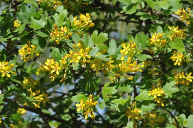 Similar image 21315591