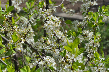 Similar image 21315595