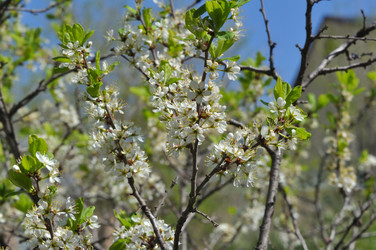 Similar image 21315604