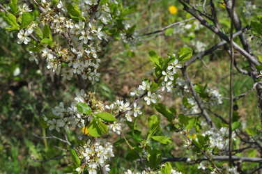 Similar image 21315608