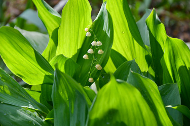 Similar image 21315612