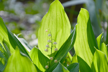 Similar image 21314288