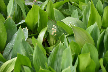 Similar image 21314290