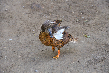 Similar image 21314292