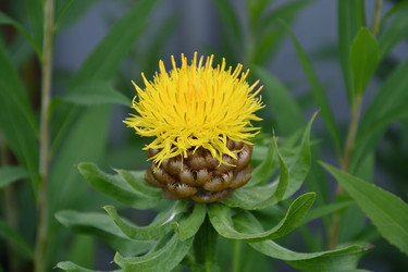 Similar image 21314293