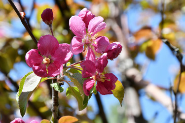 Similar image 21314296