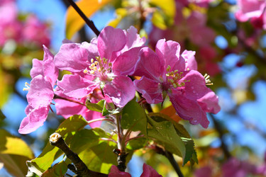 Similar image 21314297