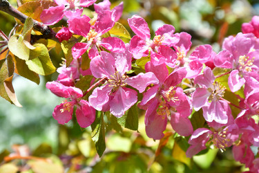 Similar image 21314300