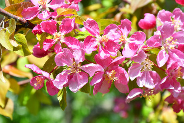 Similar image 21314302