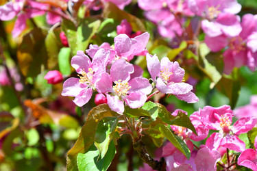 Similar image 21314303