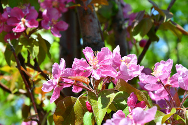 Similar image 21314305