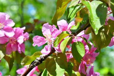 Similar image 21314306