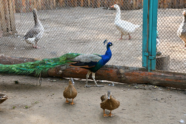 Similar image 21314307