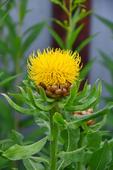 Similar image 21314308