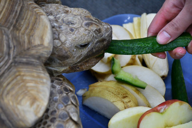 Similar image 21314314