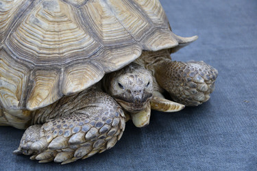 Similar image 21314316