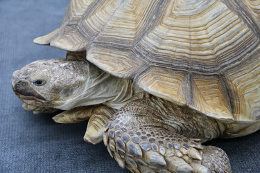 Similar image 21314318