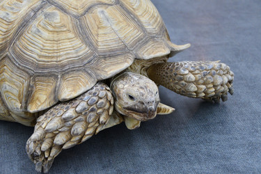 Similar image 21314320