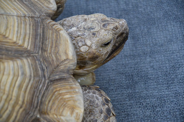 Similar image 21314321