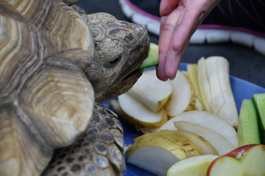 Similar image 21314322