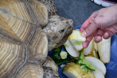 Similar image 21314323