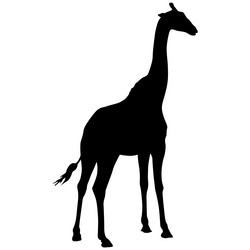 Similar image 21313636