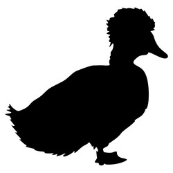 Similar image 21313637