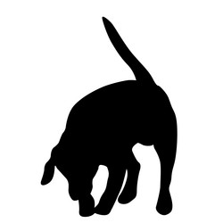 Similar image 21313649