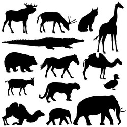 Similar image 21313653