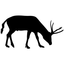 Similar image 21313656