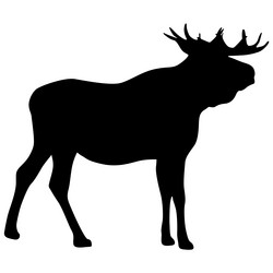 Similar image 21313658