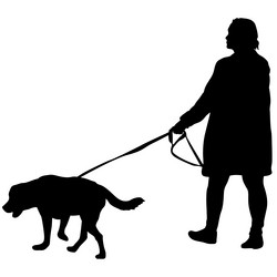 Similar image 21313668