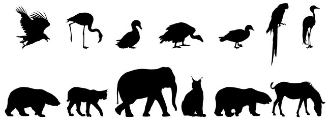 Similar image 21313752